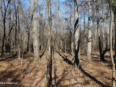 0 Joe Davis Dr, Brandon, MS 39042 - photo 4