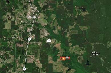 14285 Mississippi 503, Decatur, MS 39327 - photo 2