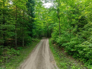 TBD S Ferguson Rd, Eben Junction, MI 49825 - photo 5