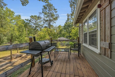 Back Porch perfect for a cookout!