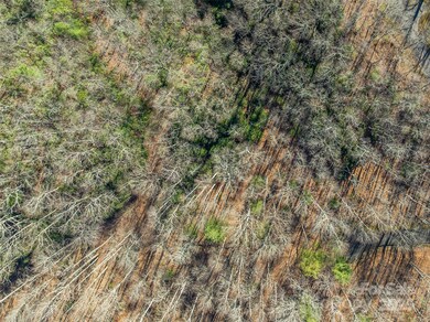 TBD Ladys Fern Trail unit 9, Laurel Park, NC 28739 - photo 2