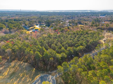 3906 Summerton St, Mount Pleasant, SC 29466 - photo 7