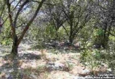 17203 Clovis, Helotes, TX 78023 - photo 2