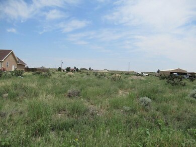 1136 N Calico Rock Ln unit 54, Pueblo West, CO 81007 - photo 3