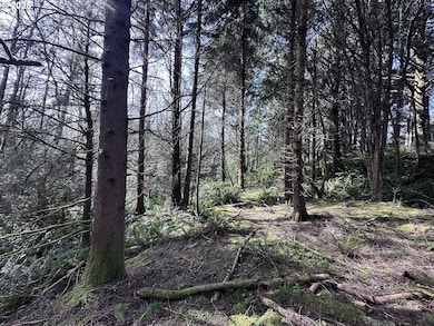 0 Greenleaf Rd, Arch Cape, OR 97102 - photo 7