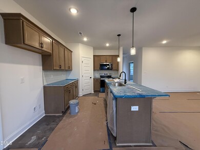 215 Pretty Run Branch Ln, Wendell, NC 27591 - photo 4