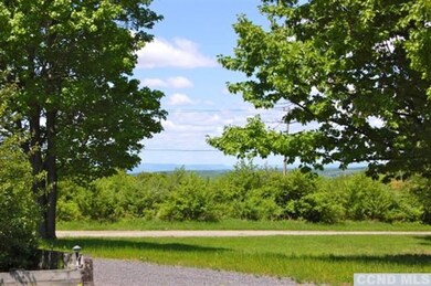 21 Sesame St, Old Chatham, NY 12136 - photo 5