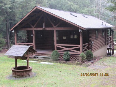 4380 Queens Run Rd, Lock Haven, PA 17745 - photo 3