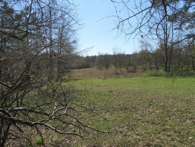 Land View 5