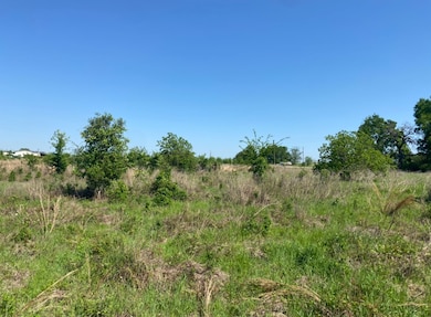 10.25 Acres Mustang Loop, Madisonville, TX 77864 - photo 5