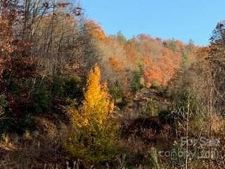 TRACTS off Pleasant Pleasant Grove Rd unit TOTAL: 20+ Acres, Laurel Park, NC 28739 - photo 3