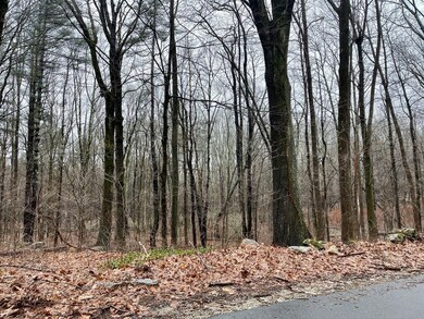 91 Clark Rd, Sturbridge, MA 01518 - photo 2