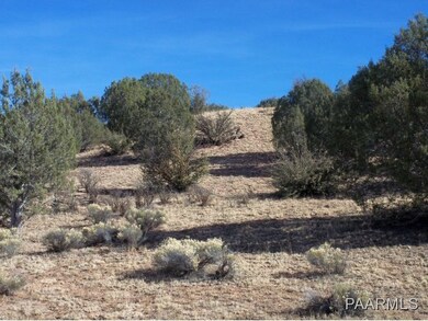 0 Ranch Rd unit 966506, Ash Fork, AZ 86320 - photo 7