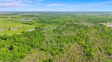Aerial view with a forest view and a water view