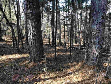 0 Highway 405 unit 3.9 1315307, Oxford, MS 38655 - photo 4