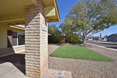 Front Yard