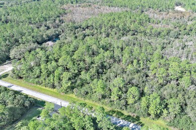 4669 32nd Ave SE, Rural Estates, FL 34117 - photo 6