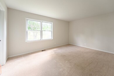 548 Fessler Ave, Naperville, IL 60565 - photo 7