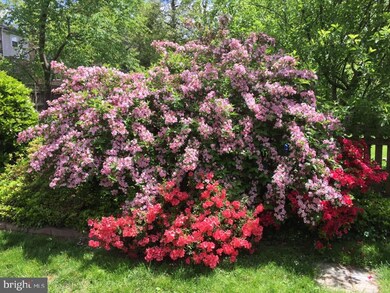 712 Murdock Rd, Baltimore, MD 21212 - photo 6