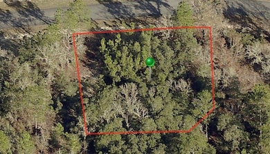 3198 W Montgomery Ln, Citrus Springs, FL 34433 - photo 2