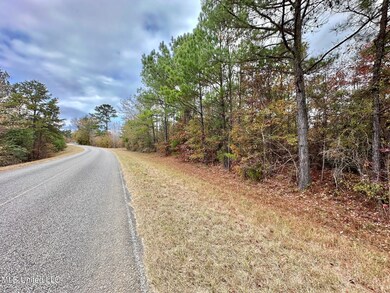 0 County Road 3122, McCool, MS 39108 - photo 5