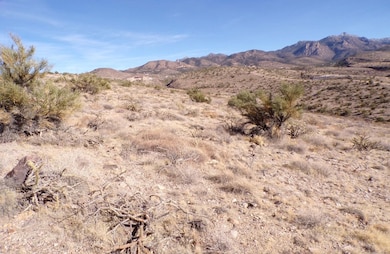 0 Lazy Y U Dr, Kingman, AZ 86401 - photo 5