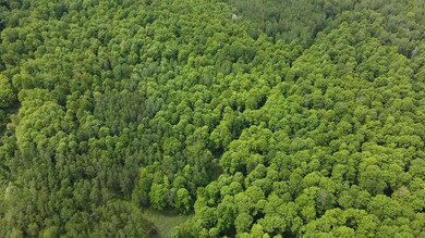 0 State Road 70 unit 50304991, Long Lake, WI 54542 - photo 5