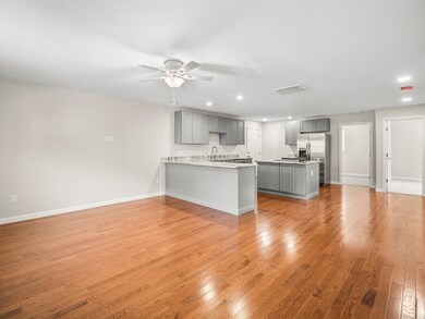 48 Litchfield St, Worcester, MA 01603 - photo 7