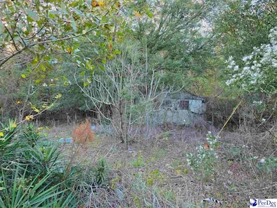 1317 Major Dr, Hartsville, SC 29550 - photo 4