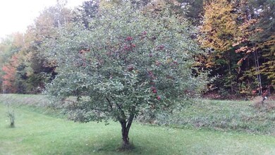 158 Fish Hatchery Rd, Colebrook, NH 03576 - photo 6