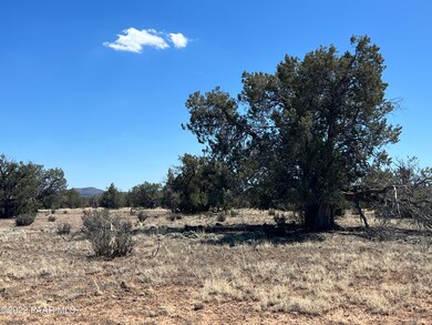 10 Ajo Jogger, Ash Fork, AZ 86320 - photo 2