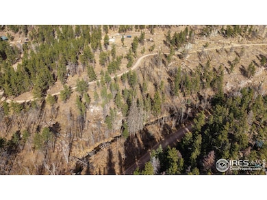 0 Cougar Dr unit 1048067, Bellvue, CO 80512 - photo 4