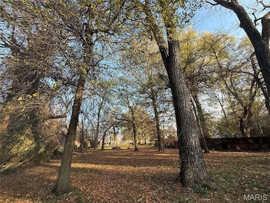 501 College Ave, Kennett, MO 63857 - photo 4