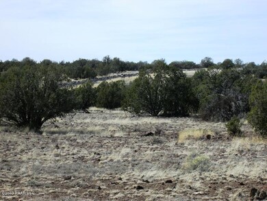 216 Couchman Trail, Ash Fork, AZ 86320 - photo 3