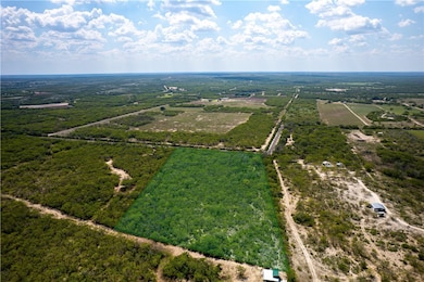 10.81 acres Cr 170, George West, TX 78022 - photo 3