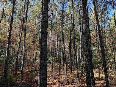 7.90 Acres-TBD Puncheon Creek Dr, Andrews, SC 29510 - photo 6