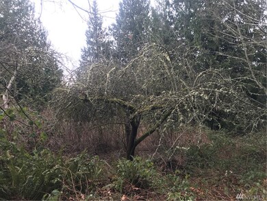 5 Freestad Rd, Arlington, WA 98223 - photo 6