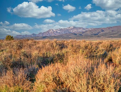 4B Ranch View