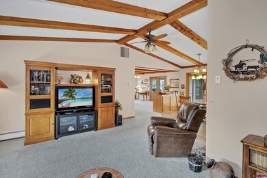 560 NE 4th St, Cedaredge, CO 81413 - photo 6