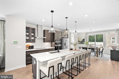 54320 Mystic Maroon Terrace, Ashburn, VA 20147 - photo 2