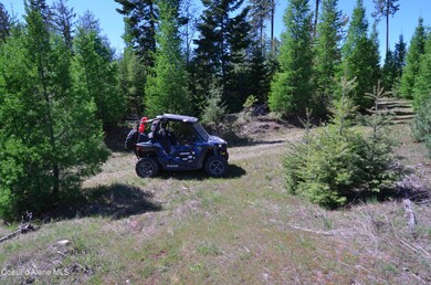 Est Lot 8 Camp Bay Estates, Sagle, ID 83860 - photo 6