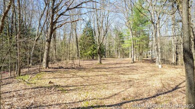 21-web-or-mls-14920-kelly-st