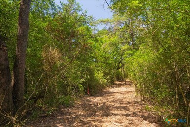 5115 N State Highway 6, Hearne, TX 77859 - photo 5