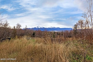 17050 E T and T Ln, Palmer, AK 99645 - photo 5