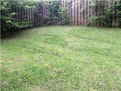 Back yard