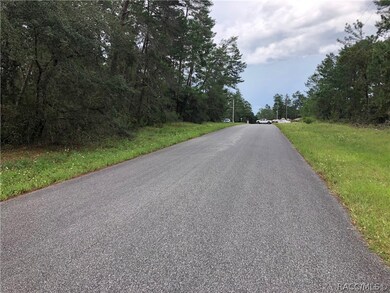 000 SW 165th St Rd, Ocala, FL 34473 - photo 5