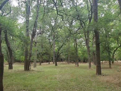 000 Horseshoe Bend Ct, Weatherford, TX 76087 - photo 2