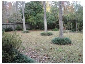 Backyard.