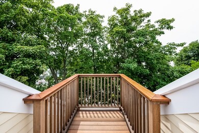 32-34 S Munroe Terrace, Boston, MA 02122 - photo 6