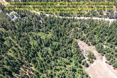 2443 Eagle Lambert Rd-6